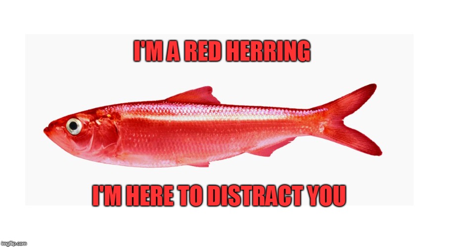 Red Herring  | I'M A RED HERRING I'M HERE TO DISTRACT YOU | image tagged in red herring | made w/ Imgflip meme maker