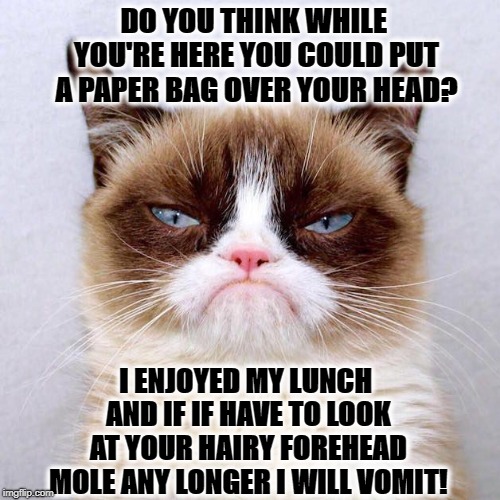 DO YOU THINK WHILE YOU'RE HERE YOU COULD PUT A PAPER BAG OVER YOUR HEAD? I ENJOYED MY LUNCH AND IF IF HAVE TO LOOK AT YOUR HAIRY FOREHEAD MOLE ANY LONGER I WILL VOMIT! | image tagged in grumpy cat | made w/ Imgflip meme maker
