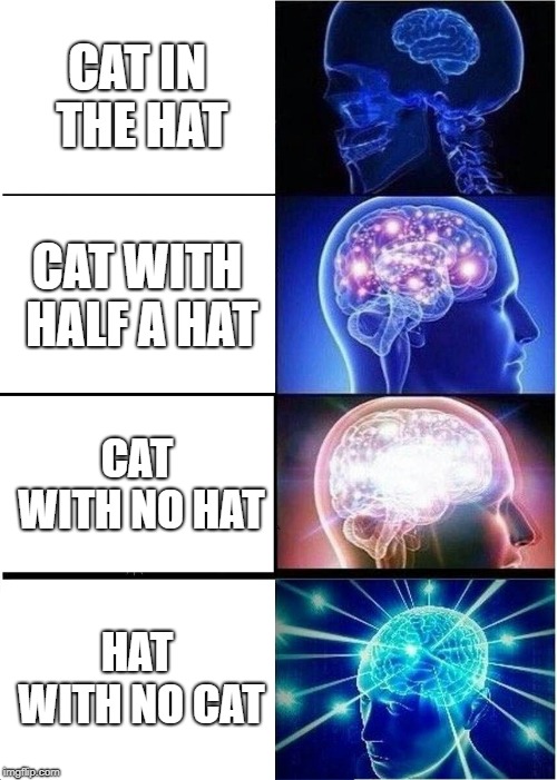 Expanding Brain Meme | CAT IN THE HAT; CAT WITH HALF A HAT; CAT WITH NO HAT; HAT WITH NO CAT | image tagged in memes,expanding brain | made w/ Imgflip meme maker