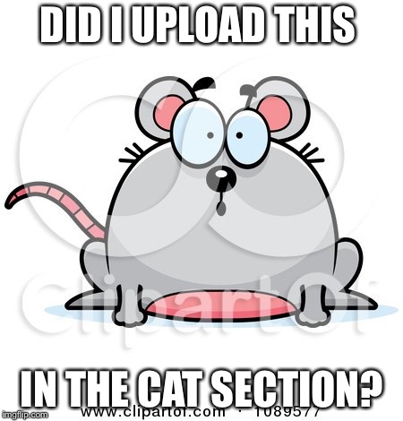 Uh oh | DID I UPLOAD THIS; IN THE CAT SECTION? | image tagged in cats,mouse,uh oh | made w/ Imgflip meme maker