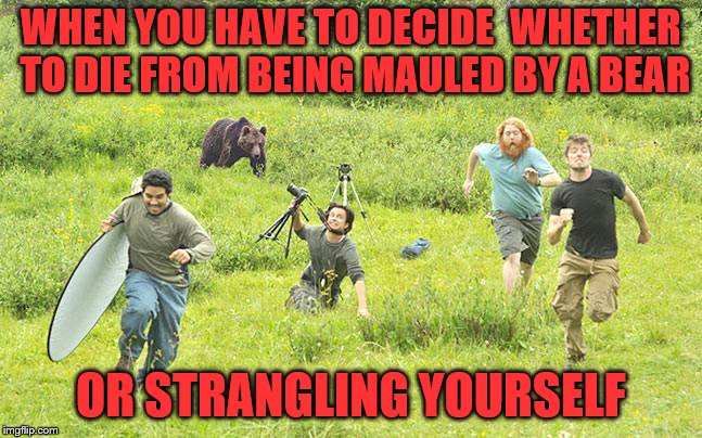 WHEN YOU HAVE TO DECIDE  WHETHER TO DIE FROM BEING MAULED BY A BEAR OR STRANGLING YOURSELF | made w/ Imgflip meme maker