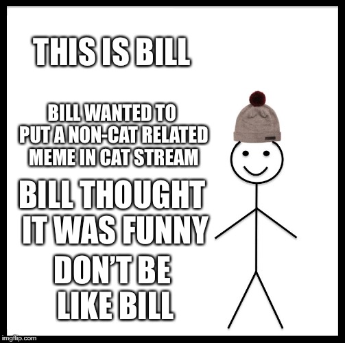 Don’t be a bill  | THIS IS BILL; BILL WANTED TO PUT A NON-CAT RELATED MEME IN CAT STREAM; BILL THOUGHT IT WAS FUNNY; DON’T BE LIKE BILL | image tagged in memes,bill,cats | made w/ Imgflip meme maker