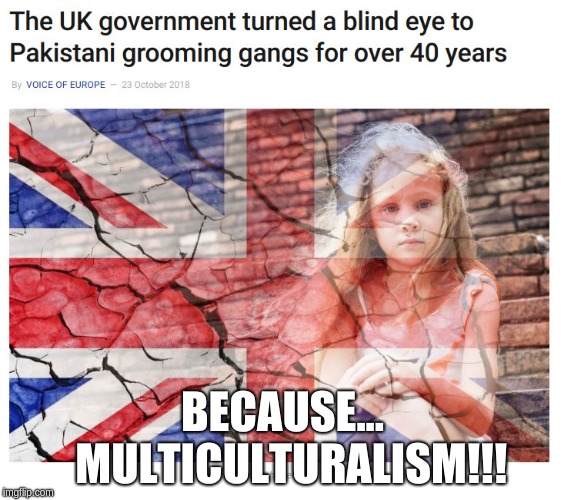 because, Multiculturalism!!!! | BECAUSE... 
MULTICULTURALISM!!! | image tagged in multiculturalism lie,invasion | made w/ Imgflip meme maker
