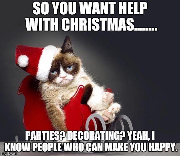 Grumpy Cat Christmas HD | SO YOU WANT HELP WITH CHRISTMAS........ PARTIES? DECORATING? YEAH, I KNOW PEOPLE WHO CAN MAKE YOU HAPPY. | image tagged in grumpy cat christmas hd | made w/ Imgflip meme maker