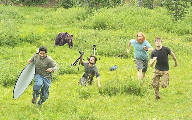 Bear chasing away photographers Blank Meme Template