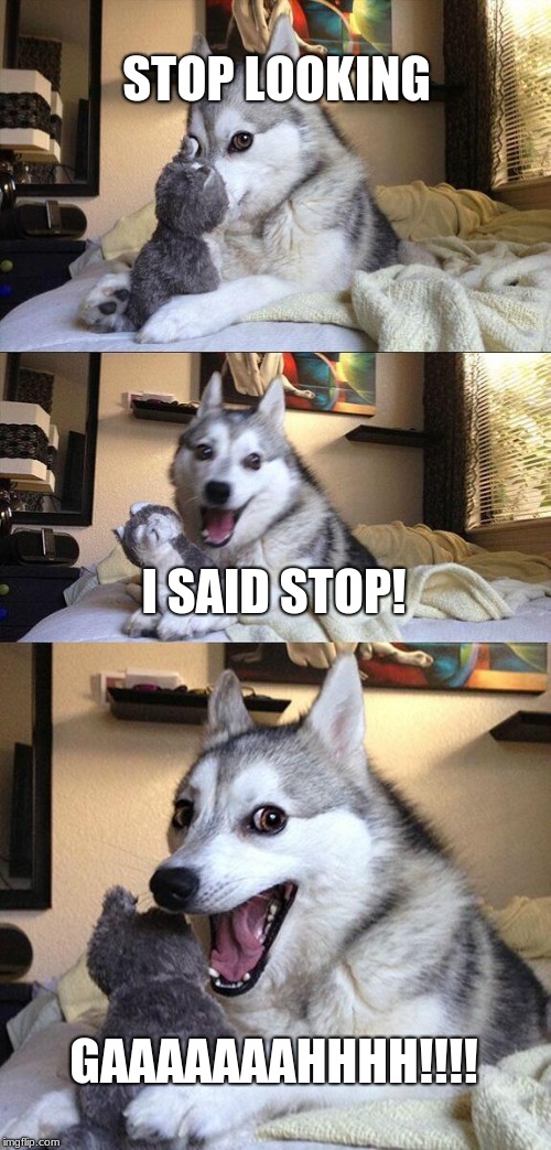 Bad Pun Dog Meme | STOP LOOKING; I SAID STOP! GAAAAAAAHHHH!!!! | image tagged in memes,bad pun dog,fluffy | made w/ Imgflip meme maker