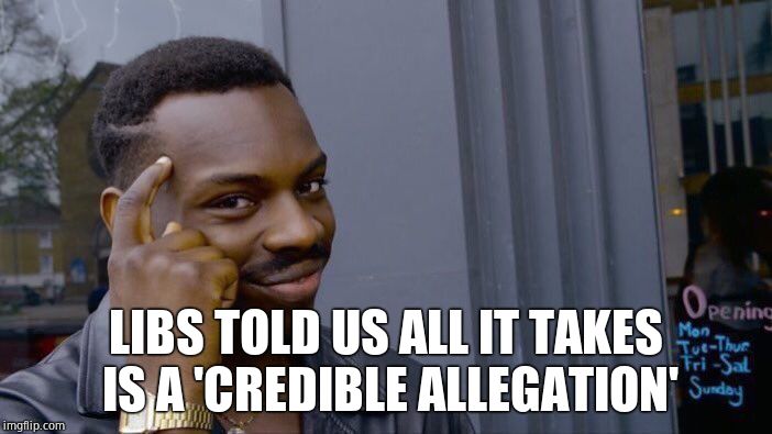 Roll Safe Think About It Meme | LIBS TOLD US ALL IT TAKES IS A 'CREDIBLE ALLEGATION' | image tagged in memes,roll safe think about it | made w/ Imgflip meme maker