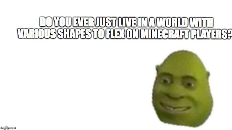 Shrek flex | DO YOU EVER JUST LIVE IN A WORLD WITH VARIOUS SHAPES TO FLEX ON MINECRAFT PLAYERS? | image tagged in shrek flex,scumbag | made w/ Imgflip meme maker