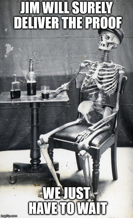 Waiting skeleton | JIM WILL SURELY DELIVER THE PROOF; WE JUST HAVE TO WAIT | image tagged in waiting skeleton | made w/ Imgflip meme maker