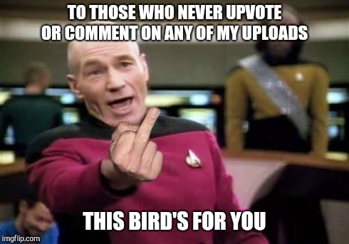 The Word | TO THOSE WHO NEVER UPVOTE OR COMMENT ON ANY OF MY UPLOADS; THIS BIRD'S FOR YOU | image tagged in picard middle finger,upvotes,comments,picard,memes | made w/ Imgflip meme maker