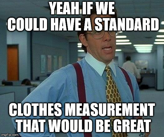 That Would Be Great Meme | YEAH IF WE COULD HAVE A STANDARD; CLOTHES MEASUREMENT THAT WOULD BE GREAT | image tagged in memes,that would be great,AdviceAnimals | made w/ Imgflip meme maker