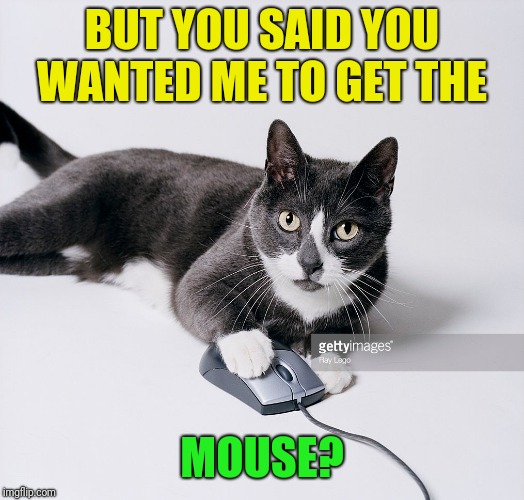 BUT YOU SAID YOU WANTED ME TO GET THE MOUSE? | made w/ Imgflip meme maker