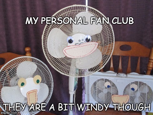 I'd like you to meet my fan club :) | THEY ARE A BIT WINDY THOUGH | image tagged in funny,memes,funny memes,fanclub,fans,funny meme | made w/ Imgflip meme maker