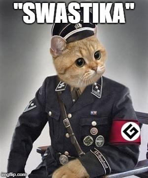 Grammar Nazi Cat | "SWASTIKA" | image tagged in grammar nazi cat | made w/ Imgflip meme maker