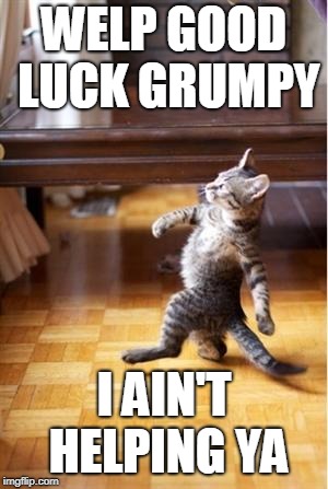 Walking Cat | WELP GOOD LUCK GRUMPY I AIN'T HELPING YA | image tagged in walking cat | made w/ Imgflip meme maker