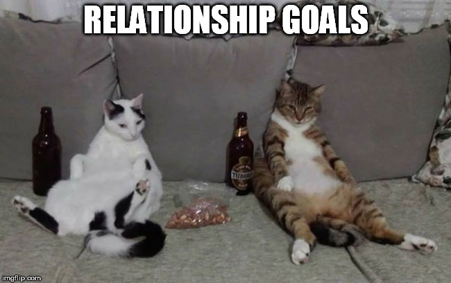 It is shared goals that keep relationships going | RELATIONSHIP GOALS | image tagged in relationship goals,cat memes,couple | made w/ Imgflip meme maker