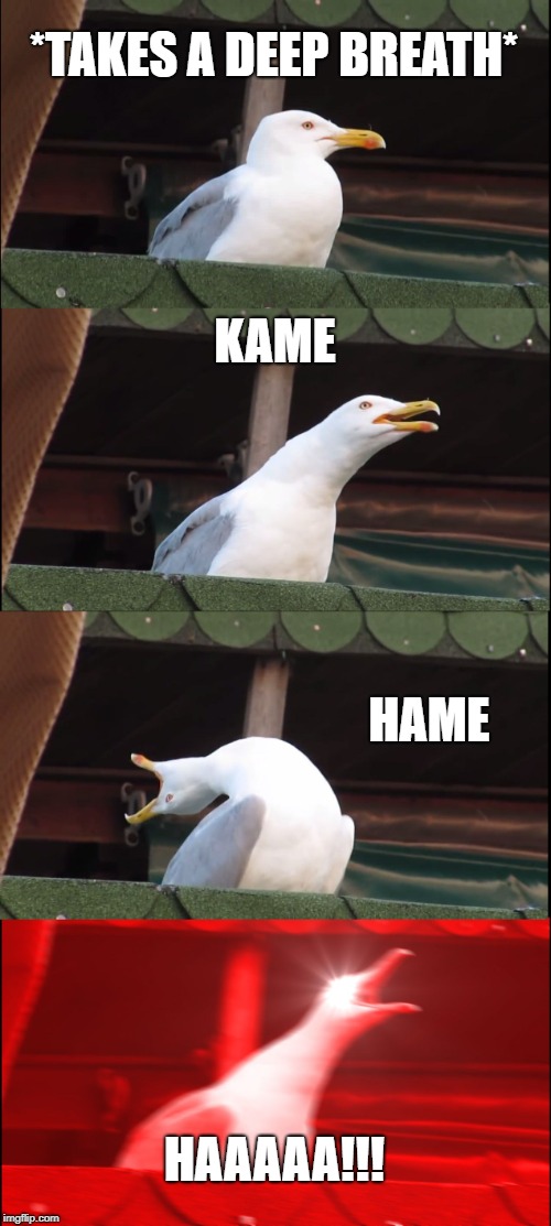 Inhaling Seagull Meme | *TAKES A DEEP BREATH*; KAME; HAME; HAAAAA!!! | image tagged in memes,inhaling seagull | made w/ Imgflip meme maker