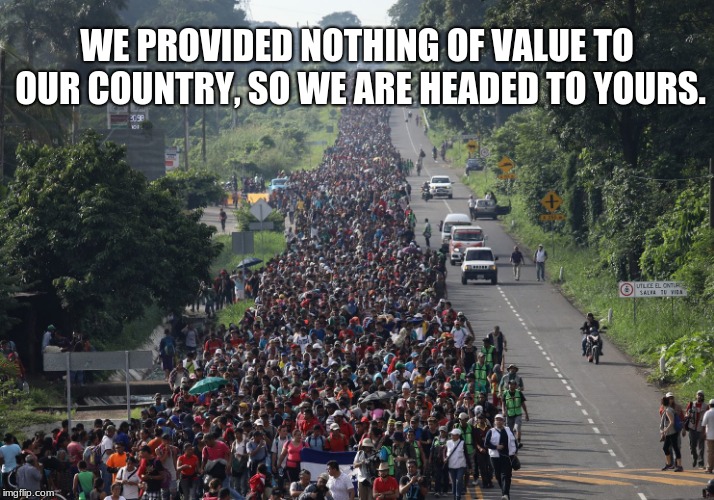 Illegal caravan or invasion, doesn't matter if they do not belong. | WE PROVIDED NOTHING OF VALUE TO OUR COUNTRY, SO WE ARE HEADED TO YOURS. | image tagged in migrant caravan,illegals,stay home | made w/ Imgflip meme maker