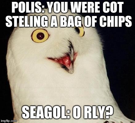 O RLY? | POLIS: YOU WERE COT STELING A BAG OF CHIPS; SEAGOL: O RLY? | image tagged in o rly | made w/ Imgflip meme maker