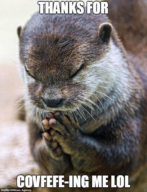 Thank you Lord Otter | THANKS FOR COVFEFE-ING ME LOL | image tagged in thank you lord otter | made w/ Imgflip meme maker