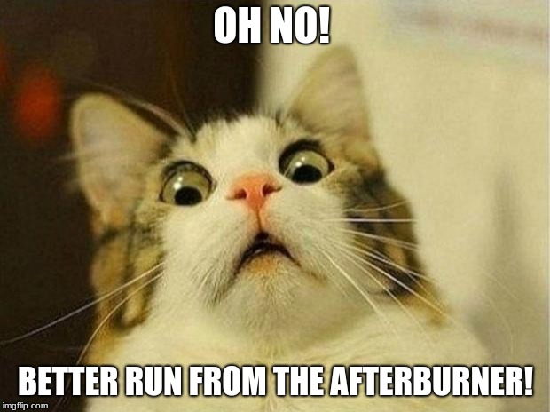Scared Cat Meme | OH NO! BETTER RUN FROM THE AFTERBURNER! | image tagged in memes,scared cat | made w/ Imgflip meme maker