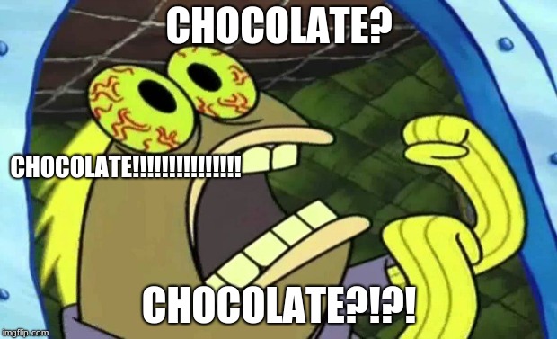 Spongebob Chocolate | CHOCOLATE? CHOCOLATE?!?! CHOCOLATE!!!!!!!!!!!!!!! | image tagged in spongebob chocolate | made w/ Imgflip meme maker