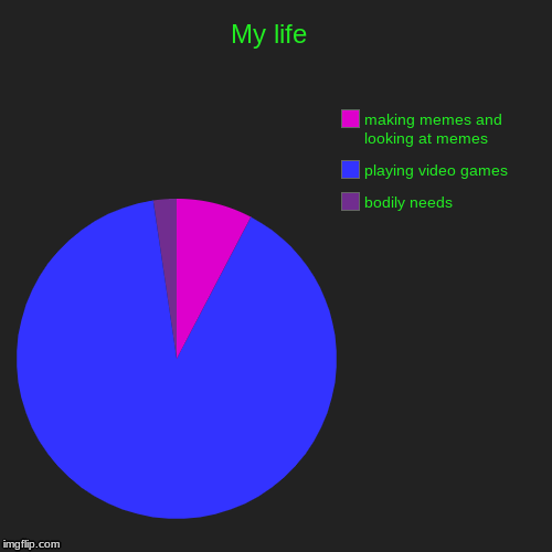 My life  | bodily needs, playing video games, making memes and looking at memes | image tagged in funny,pie charts | made w/ Imgflip chart maker