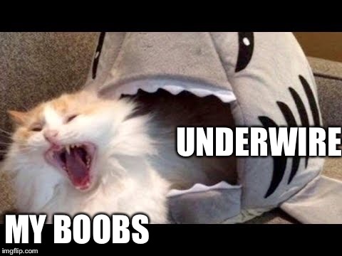 shark eat cat | UNDERWIRE; MY BOOBS | image tagged in shark eat cat | made w/ Imgflip meme maker