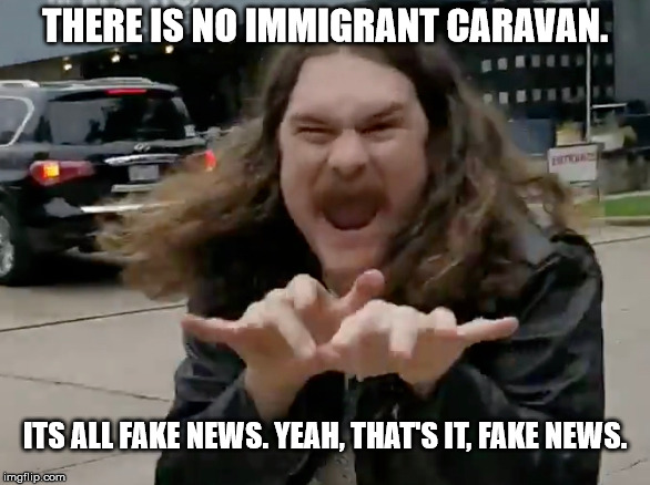 The wisdom of the Left. | THERE IS NO IMMIGRANT CARAVAN. ITS ALL FAKE NEWS. YEAH, THAT'S IT, FAKE NEWS. | image tagged in funny,memes,trump,ted cruz | made w/ Imgflip meme maker