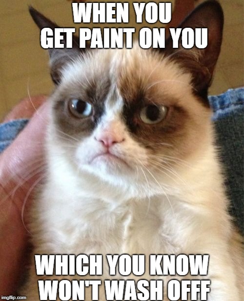Grumpy Cat Meme | WHEN YOU GET PAINT ON YOU; WHICH YOU KNOW WON'T WASH OFFF | image tagged in memes,grumpy cat | made w/ Imgflip meme maker