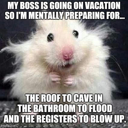 Stressed Mouse | MY BOSS IS GOING ON VACATION SO I'M MENTALLY PREPARING FOR... THE ROOF TO CAVE IN THE BATHROOM TO FLOOD AND THE REGISTERS TO BLOW UP. | image tagged in stressed mouse | made w/ Imgflip meme maker