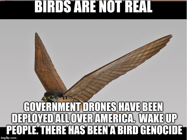 BIRDS ARE NOT REAL; GOVERNMENT DRONES HAVE BEEN DEPLOYED ALL OVER AMERICA. 
WAKE UP PEOPLE. THERE HAS BEEN A BIRD GENOCIDE | image tagged in birds are not real,birds,government,make america great again | made w/ Imgflip meme maker