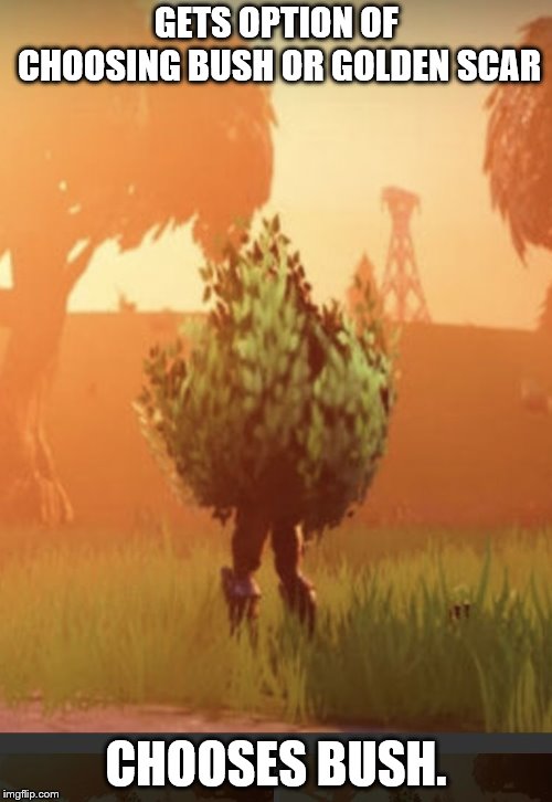 Fortnite bush | GETS OPTION OF CHOOSING BUSH OR GOLDEN SCAR; CHOOSES BUSH. | image tagged in fortnite bush | made w/ Imgflip meme maker