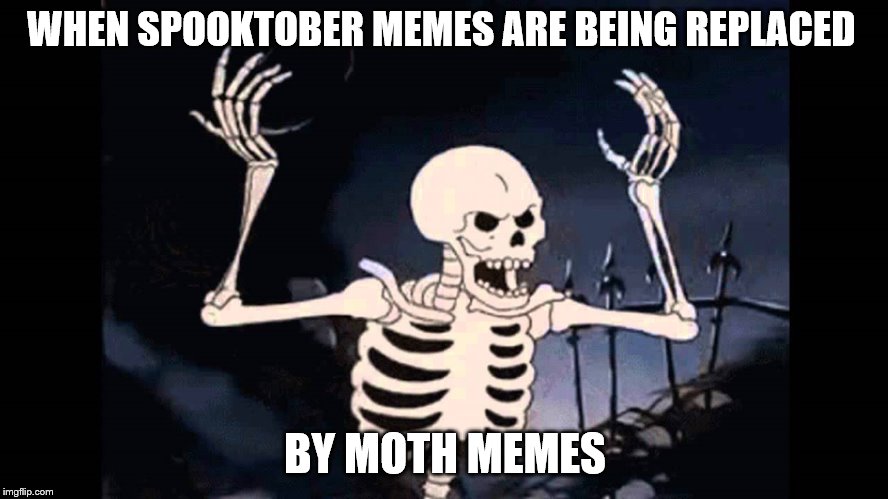 Spooky Skeleton | WHEN SPOOKTOBER MEMES ARE BEING REPLACED; BY MOTH MEMES | image tagged in spooky skeleton | made w/ Imgflip meme maker