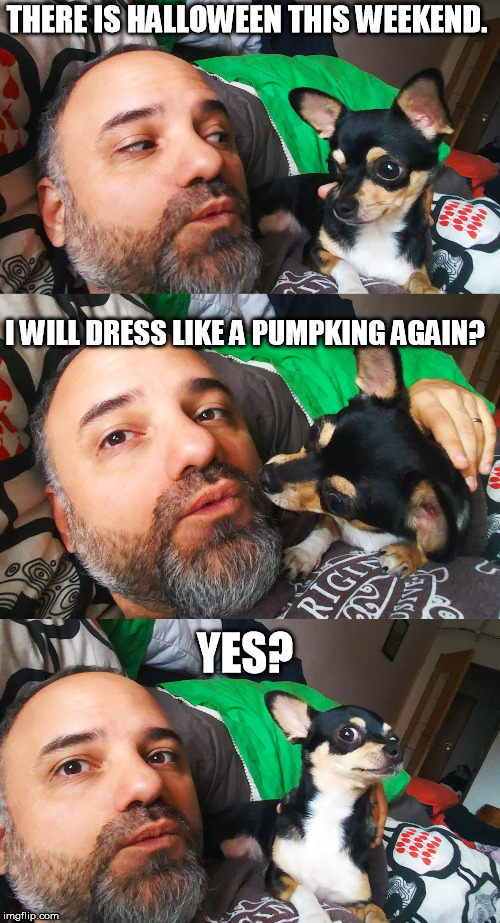 Muadiv&Sofia | THERE IS HALLOWEEN THIS WEEKEND. I WILL DRESS LIKE A PUMPKING AGAIN? YES? | image tagged in muadivsofia | made w/ Imgflip meme maker