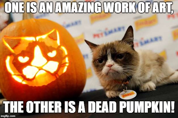 what a piece of work is cat | ONE IS AN AMAZING WORK OF ART, THE OTHER IS A DEAD PUMPKIN! | image tagged in cats,grumpy cat,pumpkin,halloween | made w/ Imgflip meme maker