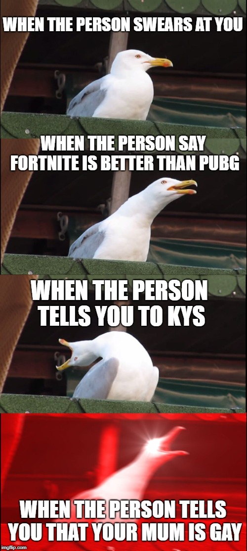 When the person | WHEN THE PERSON SWEARS AT YOU; WHEN THE PERSON SAY FORTNITE IS BETTER THAN PUBG; WHEN THE PERSON TELLS YOU TO KYS; WHEN THE PERSON TELLS YOU THAT YOUR MUM IS GAY | image tagged in memes,inhaling seagull | made w/ Imgflip meme maker