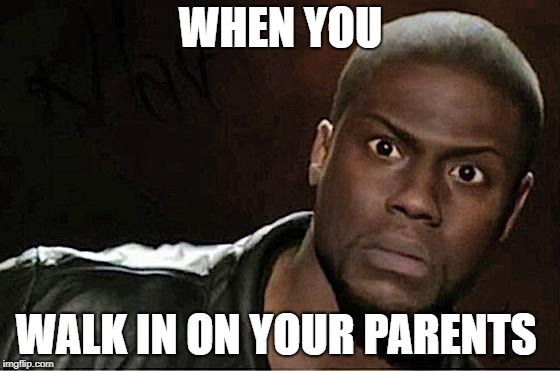 Kevin Hart | WHEN YOU; WALK IN ON YOUR PARENTS | image tagged in memes,kevin hart | made w/ Imgflip meme maker