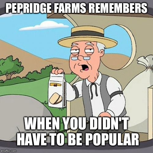 Pepperidge Farm Remembers Meme | PEPRIDGE FARMS REMEMBERS WHEN YOU DIDN'T HAVE TO BE POPULAR | image tagged in memes,pepperidge farm remembers | made w/ Imgflip meme maker