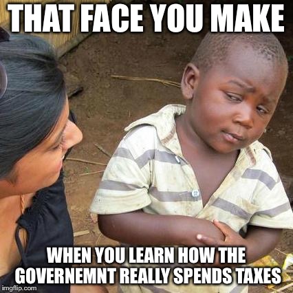 When you learn that the air force spent $300,000 on cups | THAT FACE YOU MAKE; WHEN YOU LEARN HOW THE GOVERNEMNT REALLY SPENDS TAXES | image tagged in memes,third world skeptical kid,government,taxes,donald trump | made w/ Imgflip meme maker