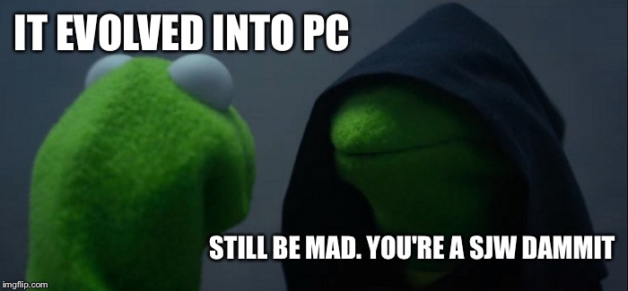 Evil Kermit Meme | IT EVOLVED INTO PC STILL BE MAD. YOU'RE A SJW DAMMIT | image tagged in memes,evil kermit | made w/ Imgflip meme maker