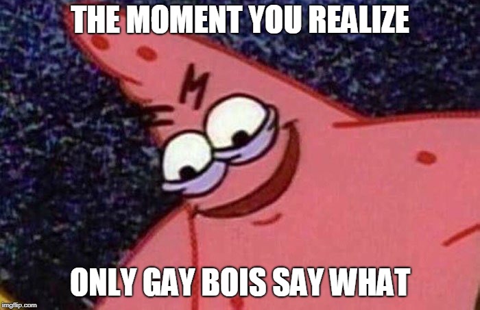 Evil Patrick  | THE MOMENT YOU REALIZE; ONLY GAY BOIS SAY WHAT | image tagged in evil patrick | made w/ Imgflip meme maker