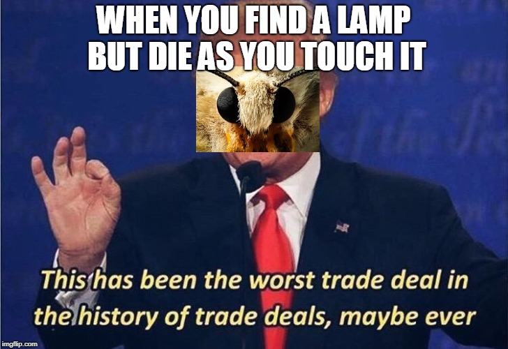 What a fun way to die! | WHEN YOU FIND A LAMP BUT DIE AS YOU TOUCH IT | image tagged in donald trump worst trade deal,moth,lamp | made w/ Imgflip meme maker