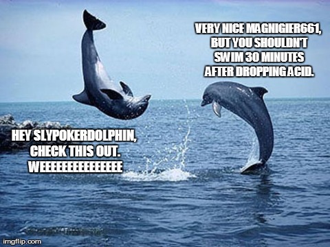 HEY SLYPOKERDOLPHIN, CHECK THIS OUT. WEEEEEEEEEEEEEEE VERY NICE MAGNIGIER661, BUT YOU SHOULDN'T SWIM 30 MINUTES AFTER DROPPING ACID. | made w/ Imgflip meme maker