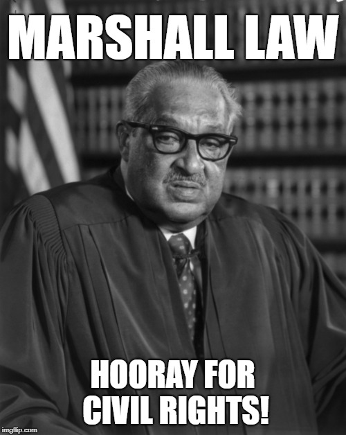 Thurgood Marshall | MARSHALL LAW HOORAY FOR CIVIL RIGHTS! | image tagged in thurgood marshall | made w/ Imgflip meme maker