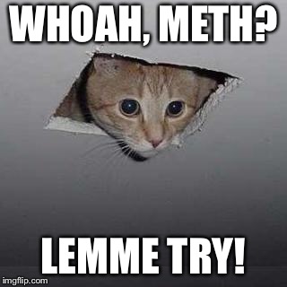 Ceiling Cat Meme | WHOAH, METH? LEMME TRY! | image tagged in memes,ceiling cat | made w/ Imgflip meme maker