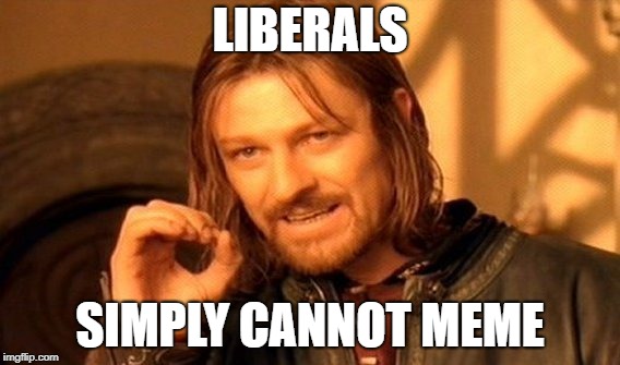 One Does Not Simply Meme | LIBERALS; SIMPLY CANNOT MEME | image tagged in memes,one does not simply | made w/ Imgflip meme maker
