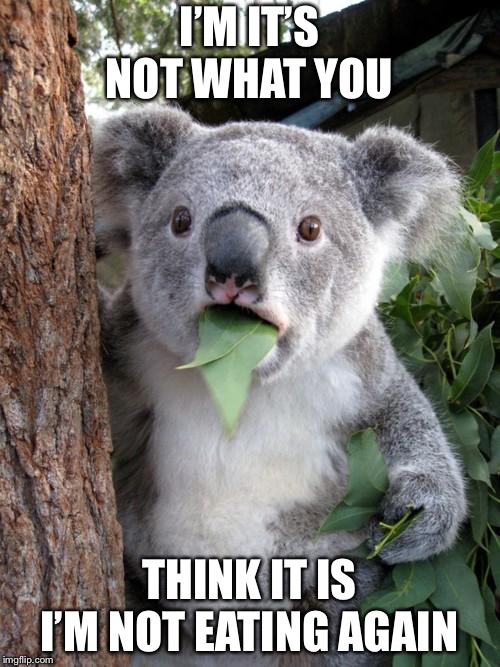Surprised Koala Meme | I’M IT’S NOT WHAT YOU; THINK IT IS I’M NOT EATING AGAIN | image tagged in memes,surprised koala | made w/ Imgflip meme maker