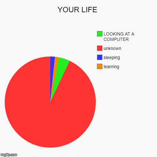 YOUR LIFE | learning, sleeping, unknown, LOOKING AT A COMPUTER | image tagged in funny,pie charts | made w/ Imgflip chart maker