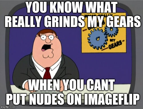 the news | YOU KNOW WHAT REALLY GRINDS MY GEARS; WHEN YOU CANT PUT NUDES ON IMAGEFLIP | image tagged in memes,peter griffin news,road to 6000,dylanthepickle | made w/ Imgflip meme maker